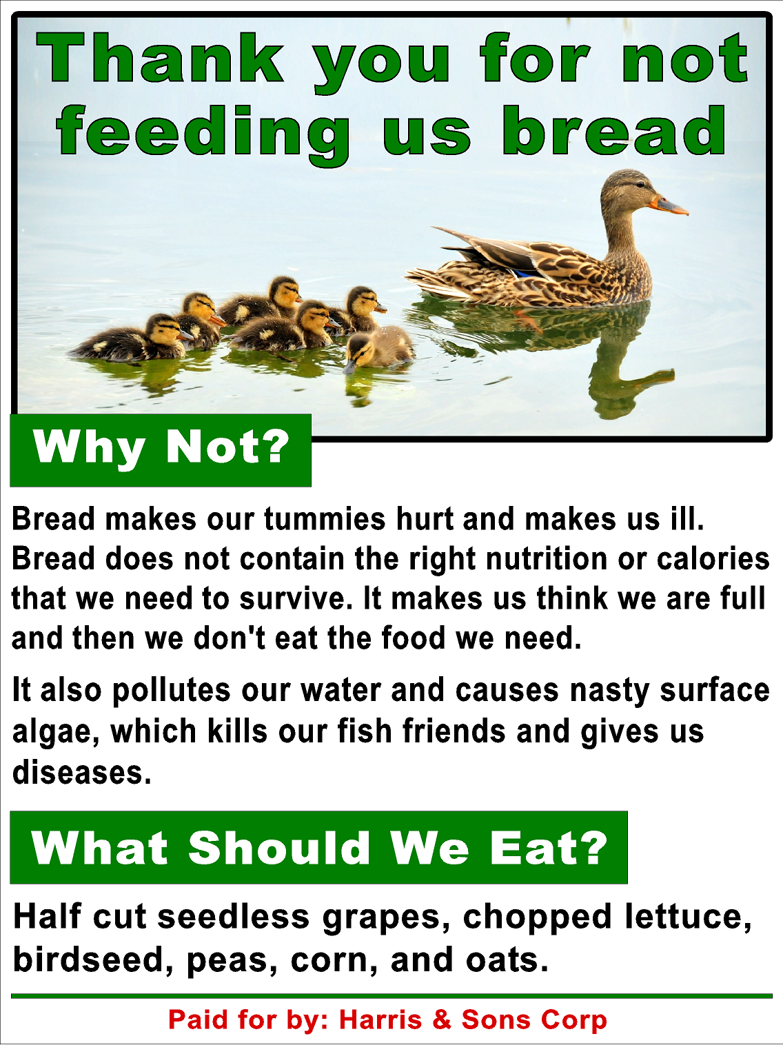 Custom Duck Feeding Rules Sign