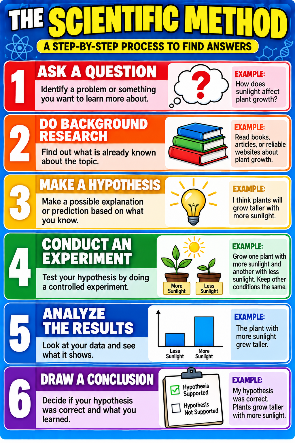 Scientific method steps educational poster showing question, research, hypothesis, experiment, results analysis and conclusion with a plant growth example